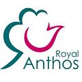 anthos 200